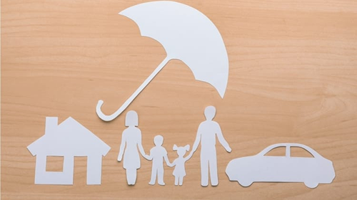 TRADITIONAL Insurance