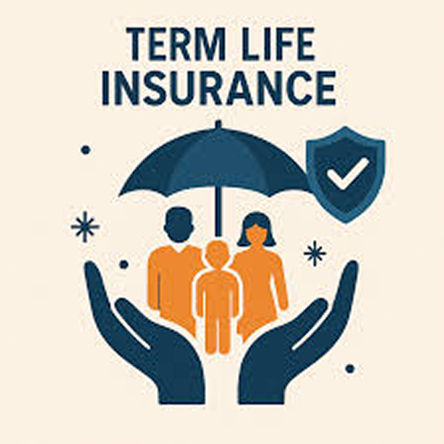 TERM Insurance